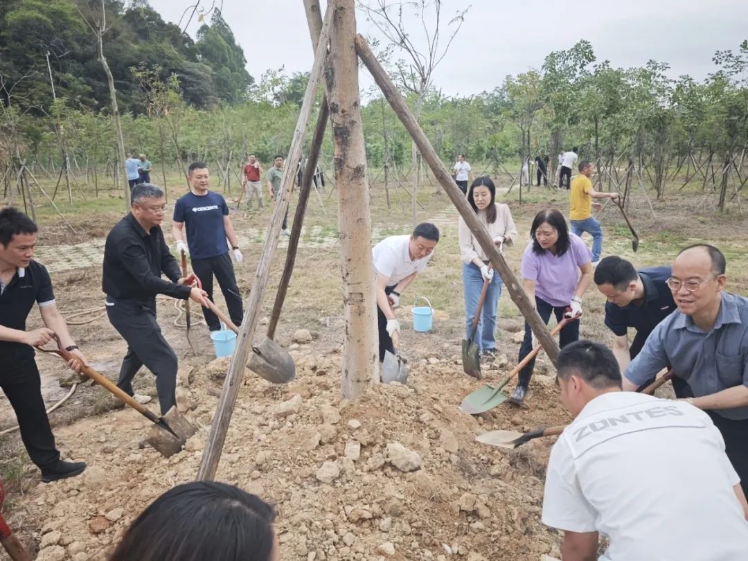大家齐心协力植树.jpg